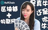 Ruff Chain 真是受不了一帮极客写出来的白皮书!